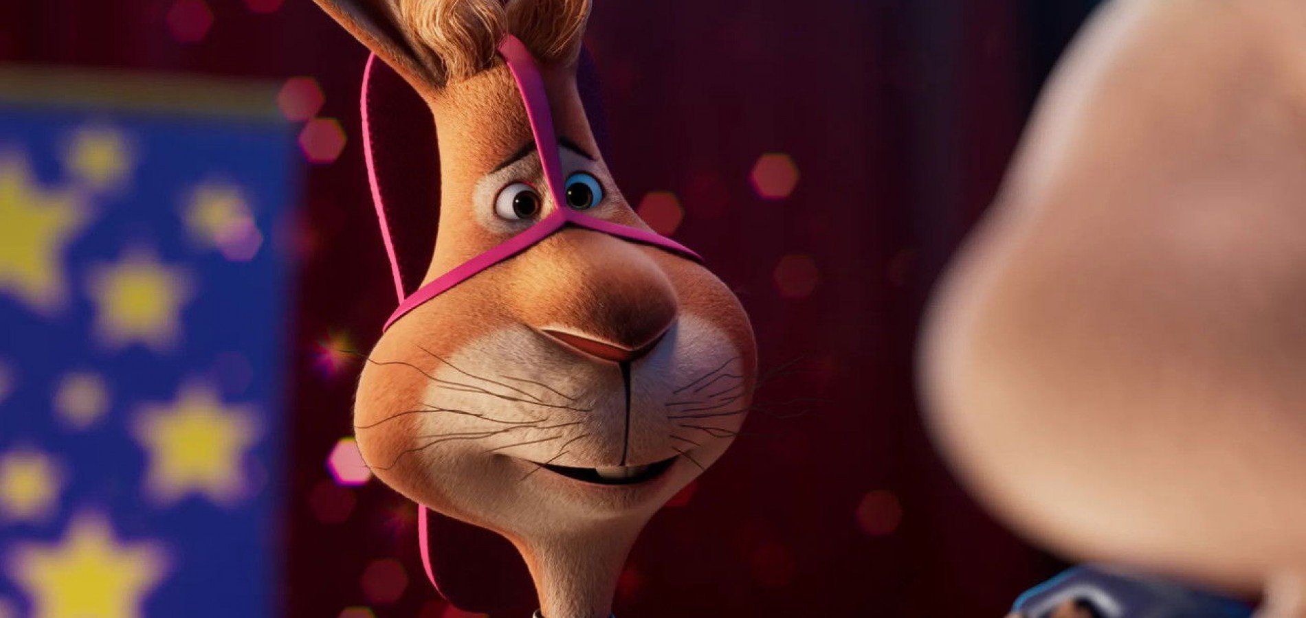 actualité walter lapin