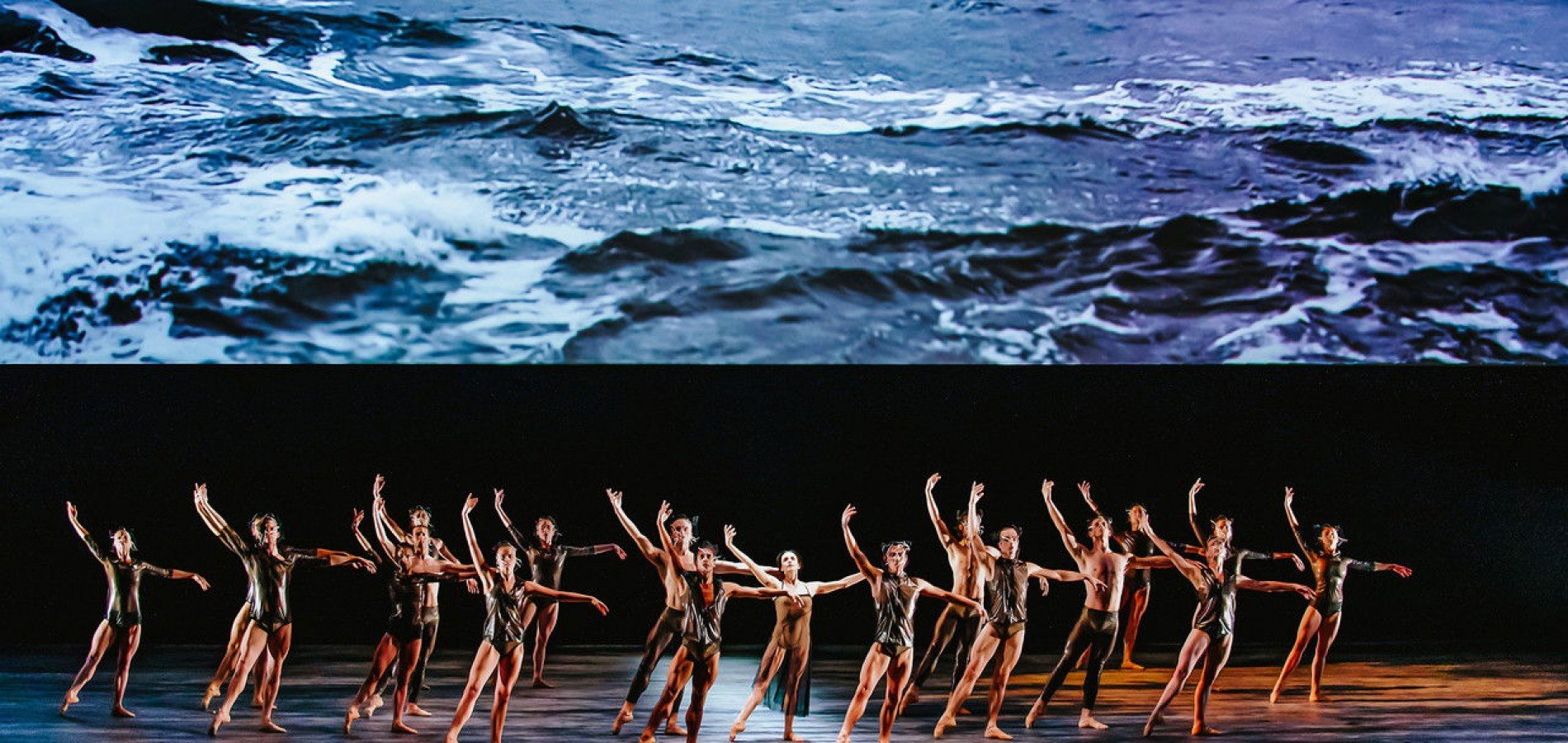 actualité woolf work